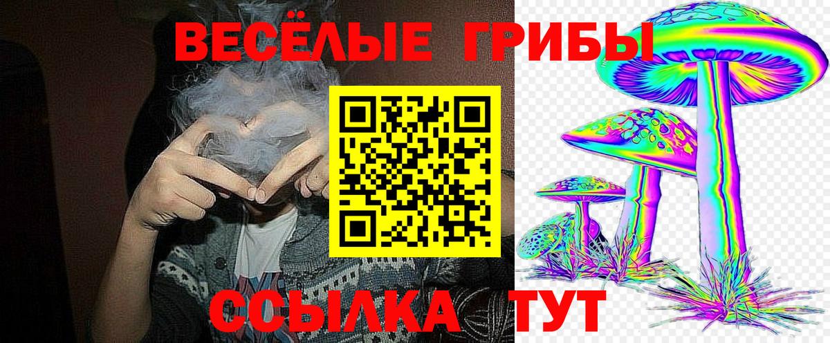 Конопля Хасавюрт