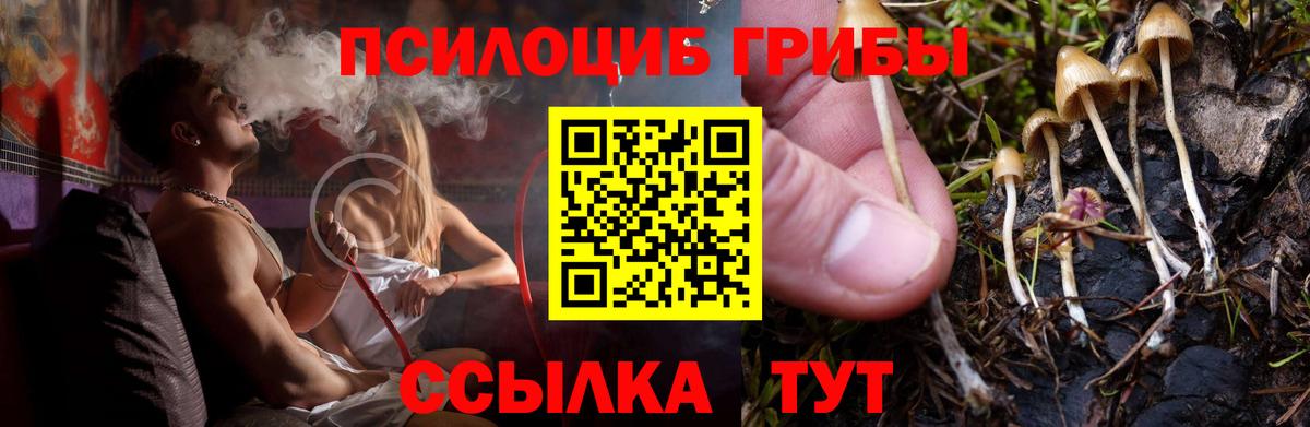 Псилоцибиновые грибы прущие грибы Хасавюрт